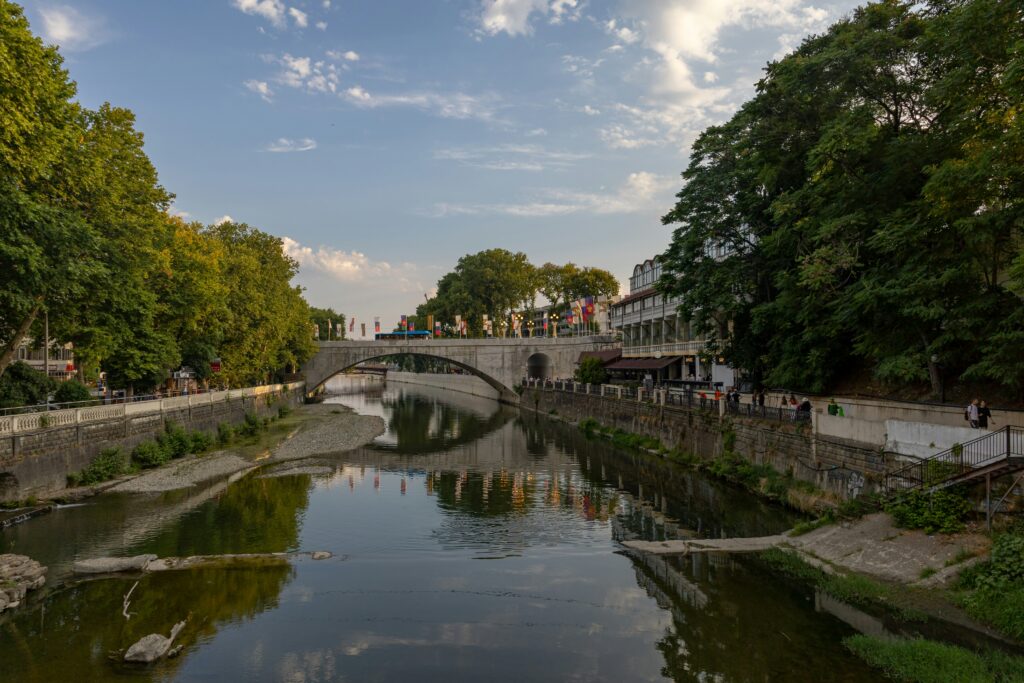 Дорога и мост в Сочи среди зелени